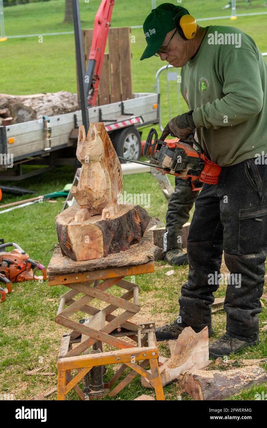 Brentwood Essex 22. Mai 2021 The Weald Park Country Show, Weald Festival of Dogs, Weald Festival of Cars, Weald Country Park, Brentwood Essex, Holzschnitzerei mit Kettensäge, Credit: Ian Davidson/Alamy Live News Stockfoto