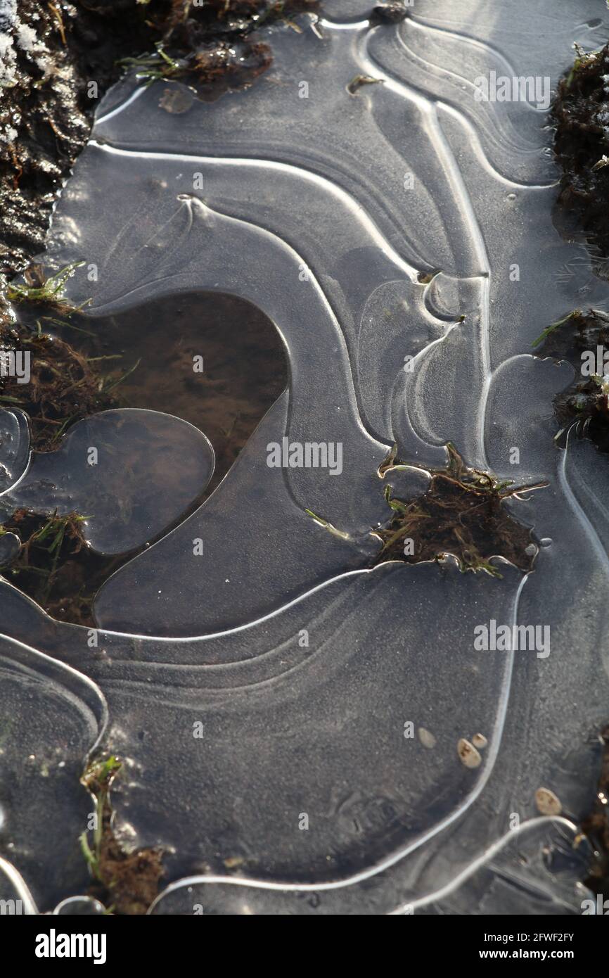 Natürliches abstraktes Muster in Eis über einer Pfütze Stockfoto