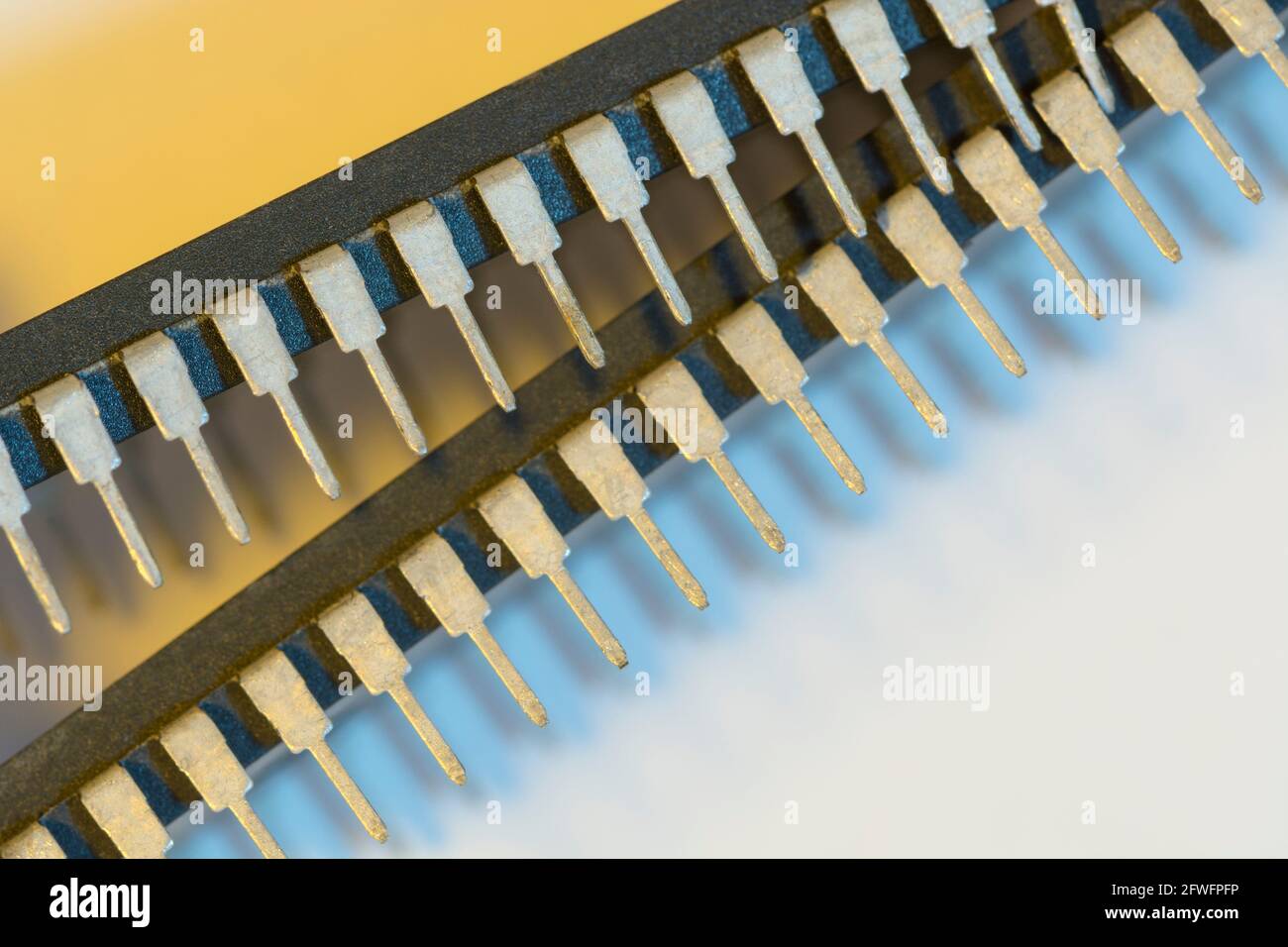 Makroaufnahme der Stiftschaltungen des Halbleiters PIC16F77-I/P von Microchip Technology. Für Elektronik abstrakt, Industriekomponenten abstrakt. Stockfoto