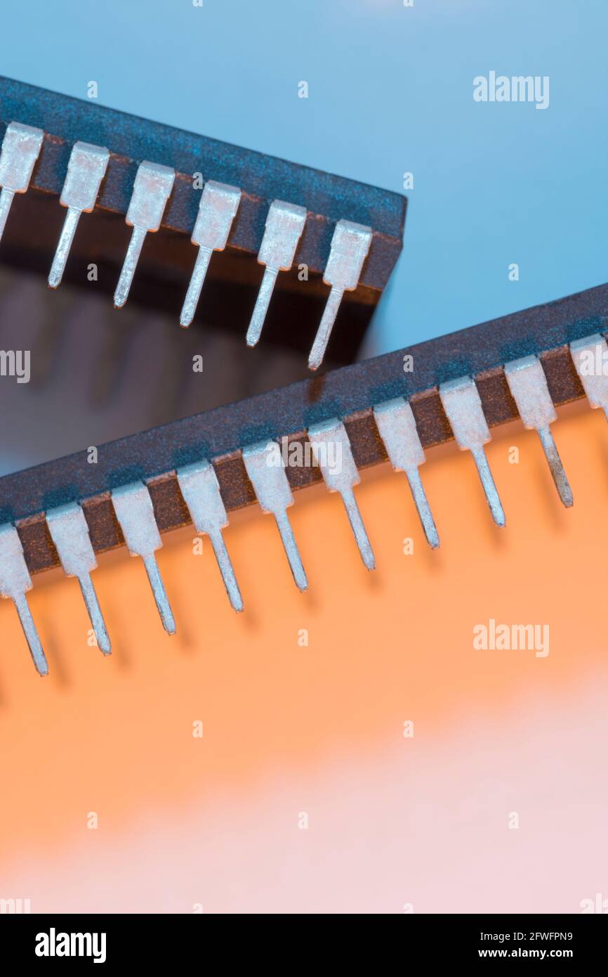 Makroaufnahme der Stiftschaltungen des Halbleiters PIC16F77-I/P von Microchip Technology. Für Elektronik abstrakt, Industriekomponenten abstrakt. Stockfoto