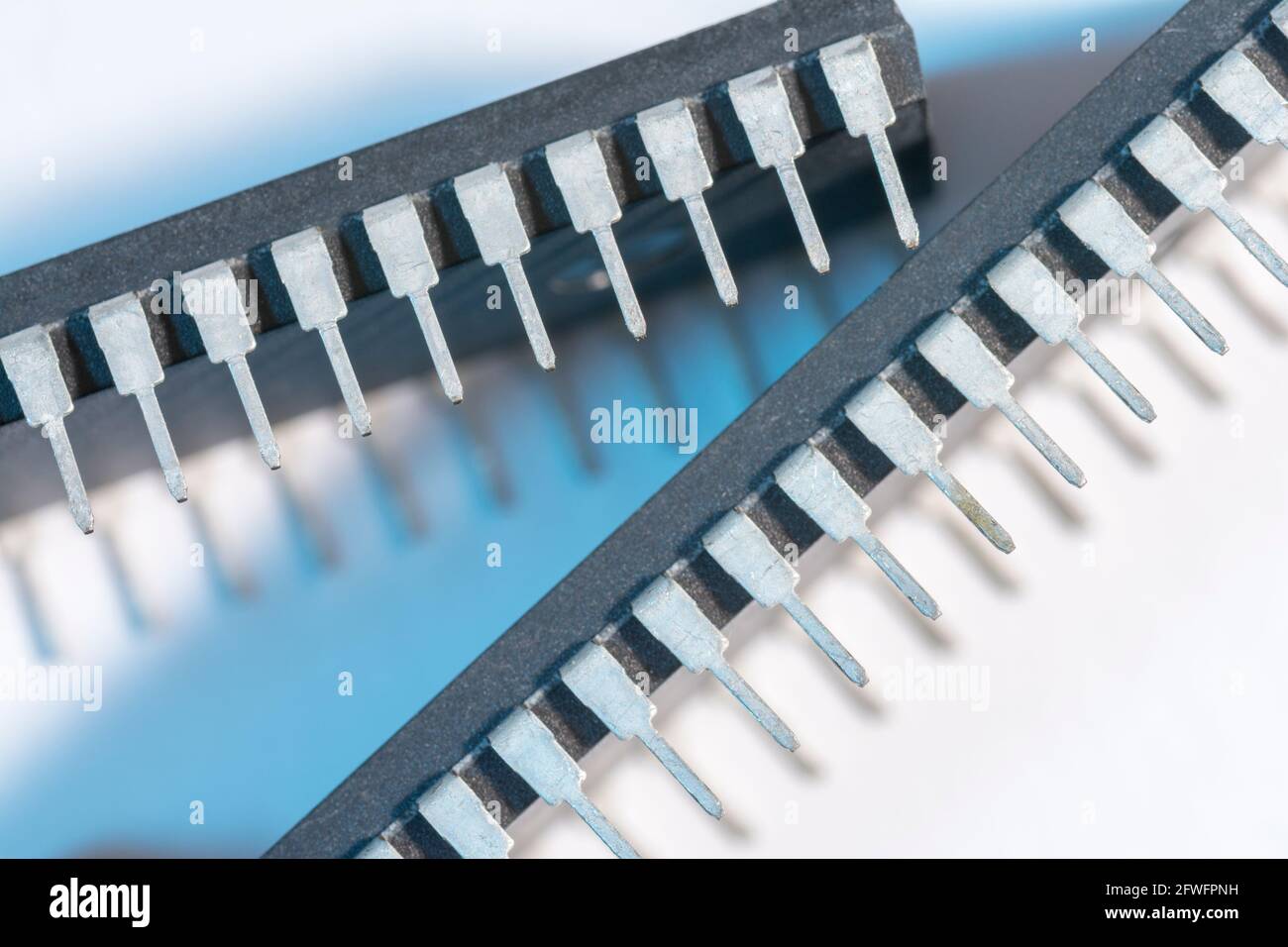 Makroaufnahme der Stiftschaltungen des Halbleiters PIC16F77-I/P von Microchip Technology. Für Elektronik abstrakt, Industriekomponenten abstrakt. Stockfoto