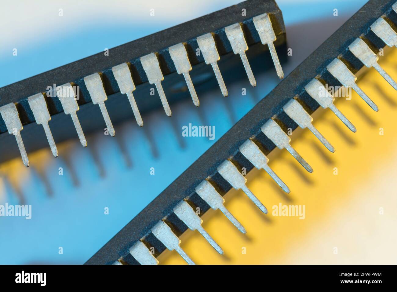 Makroaufnahme der Stiftschaltungen des Halbleiters PIC16F77-I/P von Microchip Technology. Für Elektronik abstrakt, Industriekomponenten abstrakt. Stockfoto
