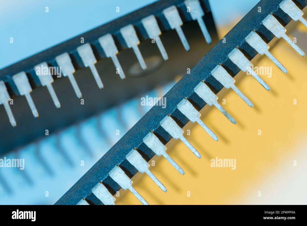 Makroaufnahme der Stiftschaltungen des Halbleiters PIC16F77-I/P von Microchip Technology. Für Elektronik abstrakt, Industriekomponenten abstrakt. Stockfoto