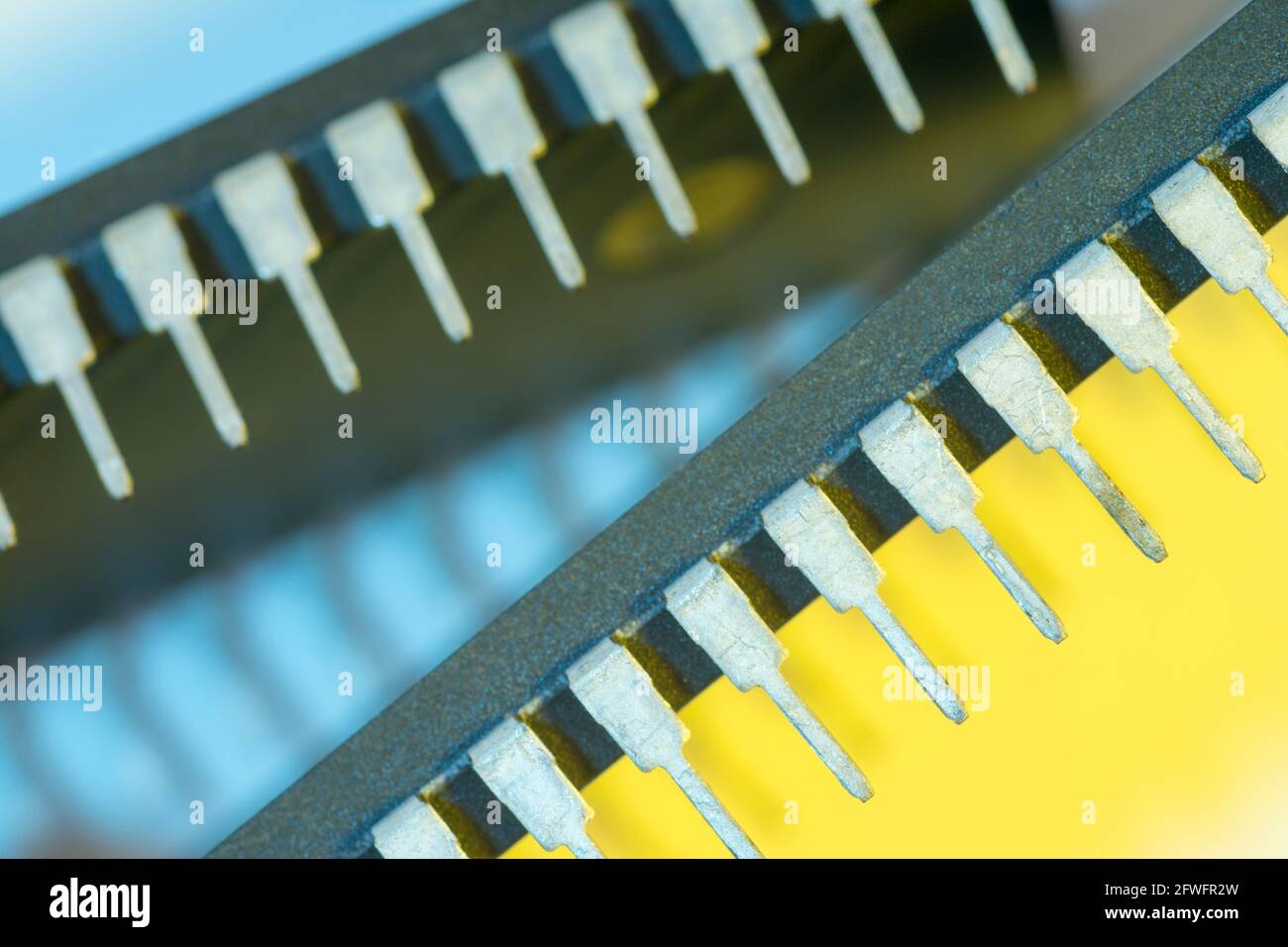 Makroaufnahme der Stiftschaltungen des Halbleiters PIC16F77-I/P von Microchip Technology. Für Elektronik abstrakt, Industriekomponenten abstrakt. Stockfoto