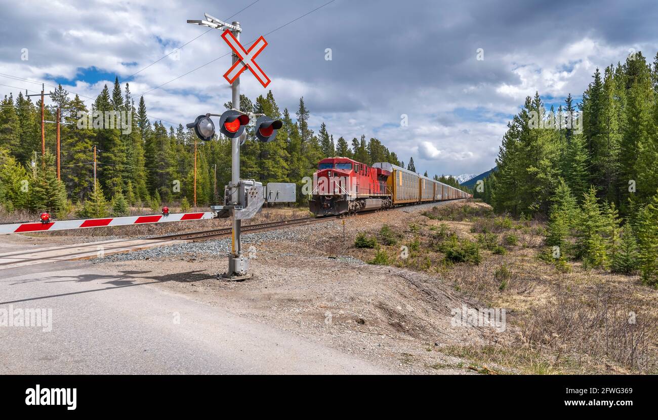 Güterzug nähert sich einem Bahnübergang im Banff National Park, Alberta, Kanada Stockfoto