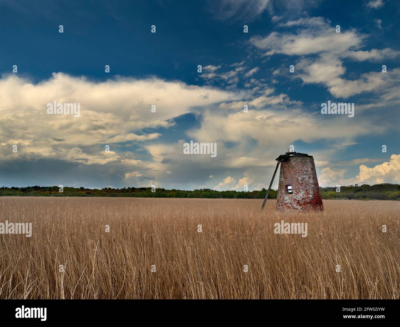 Alte Windmühle auf Dingle Sümpfen an der Küste bei Dunwich Suffolk Ende Mai Stockfoto