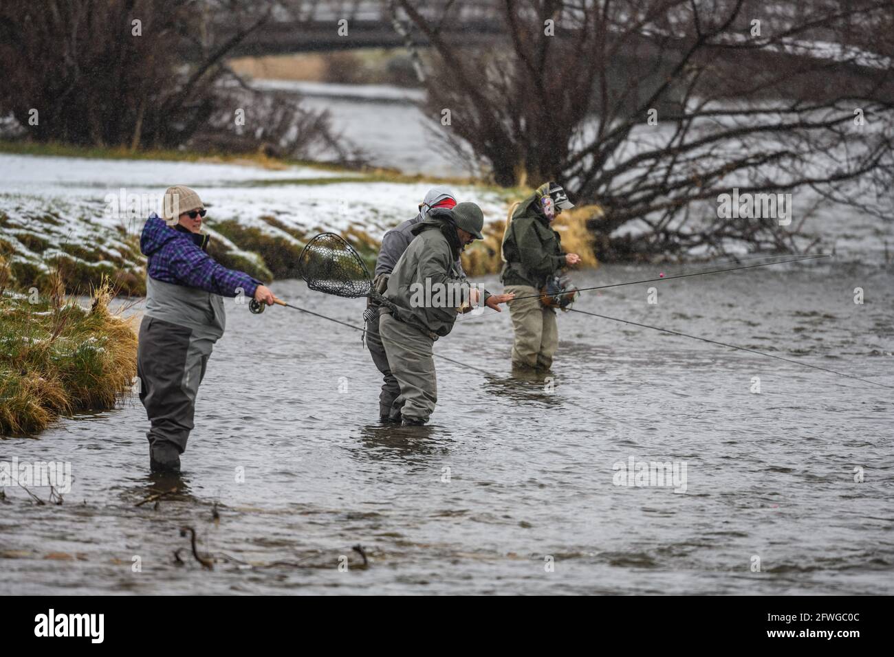 Mann und Frau fliegen an einem schneit Tag in einem Fluss fischen. Estes Park, Colorado, USA. Stockfoto
