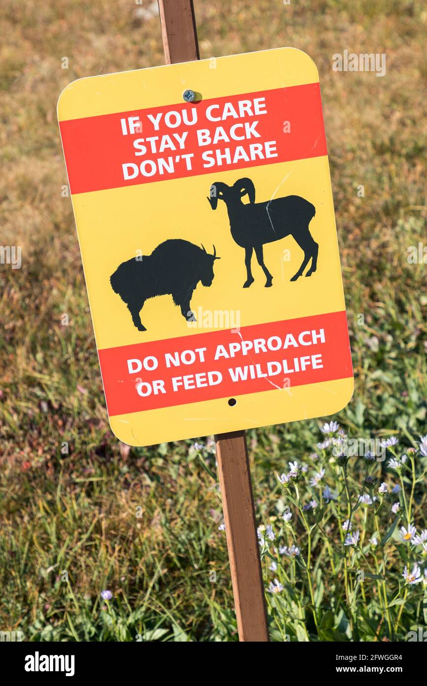 Nähern Sie sich nicht dem Tierschutzschild Logan Pass, Glacier National Park, Montana, USA Stockfoto