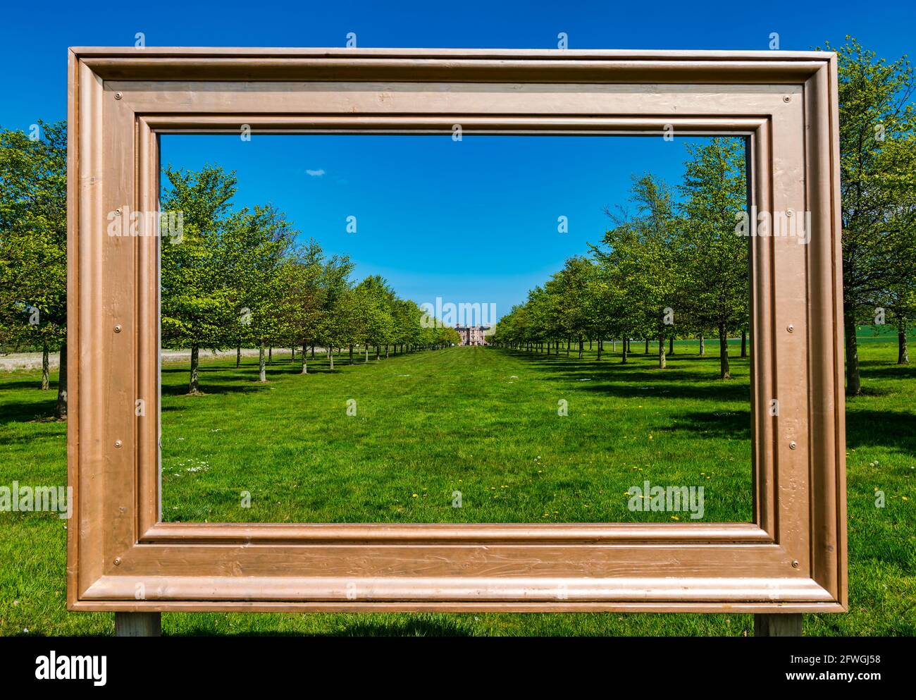 Gerahmte Ansicht des Archerfield House durch die von Bäumen gesäumte Allee bei Sonnenschein, East Lothian, Schottland, Großbritannien Stockfoto
