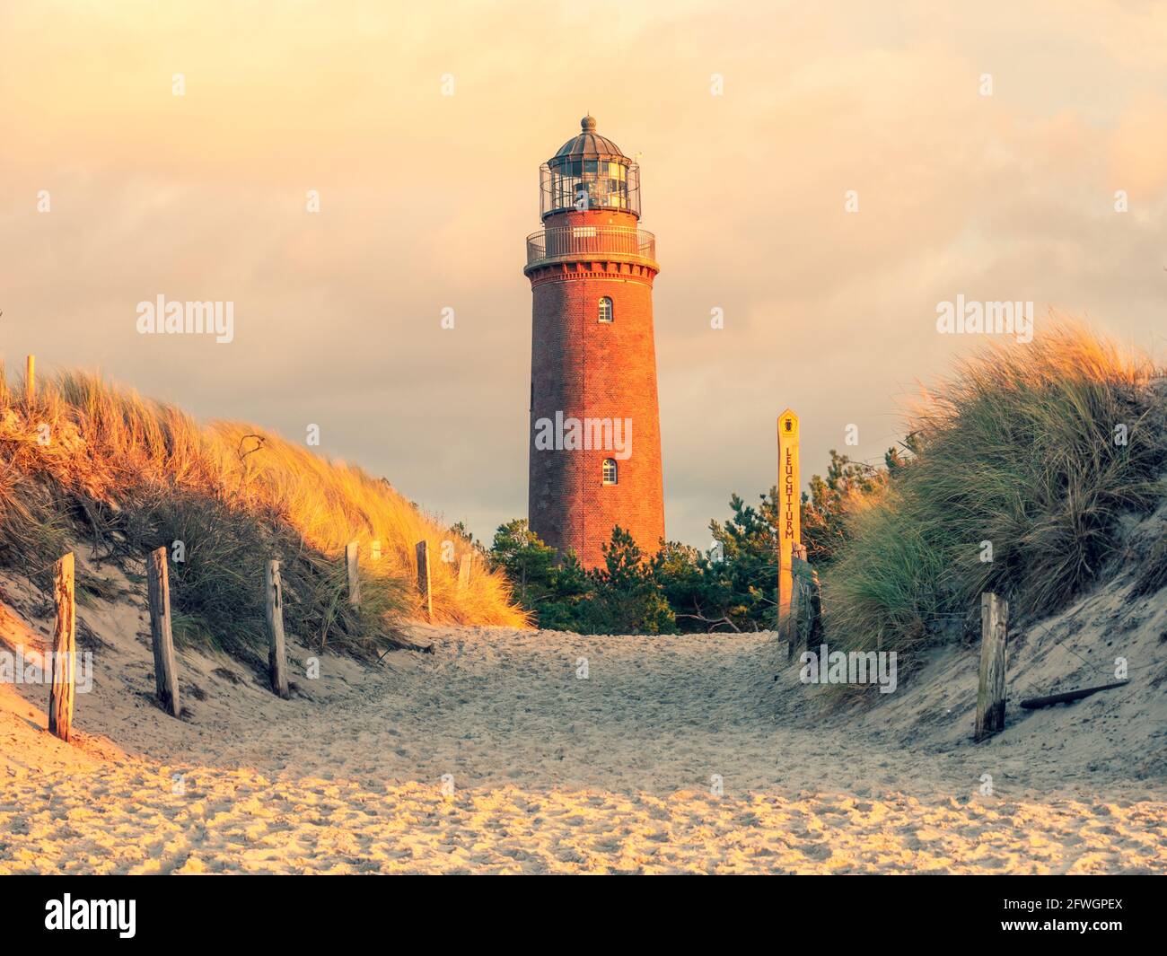 Leuchtturm am Darsser Ort mit Natureum bei Prerow Fischland-Darss-Zingst, Rügen, Deutschland Stockfoto