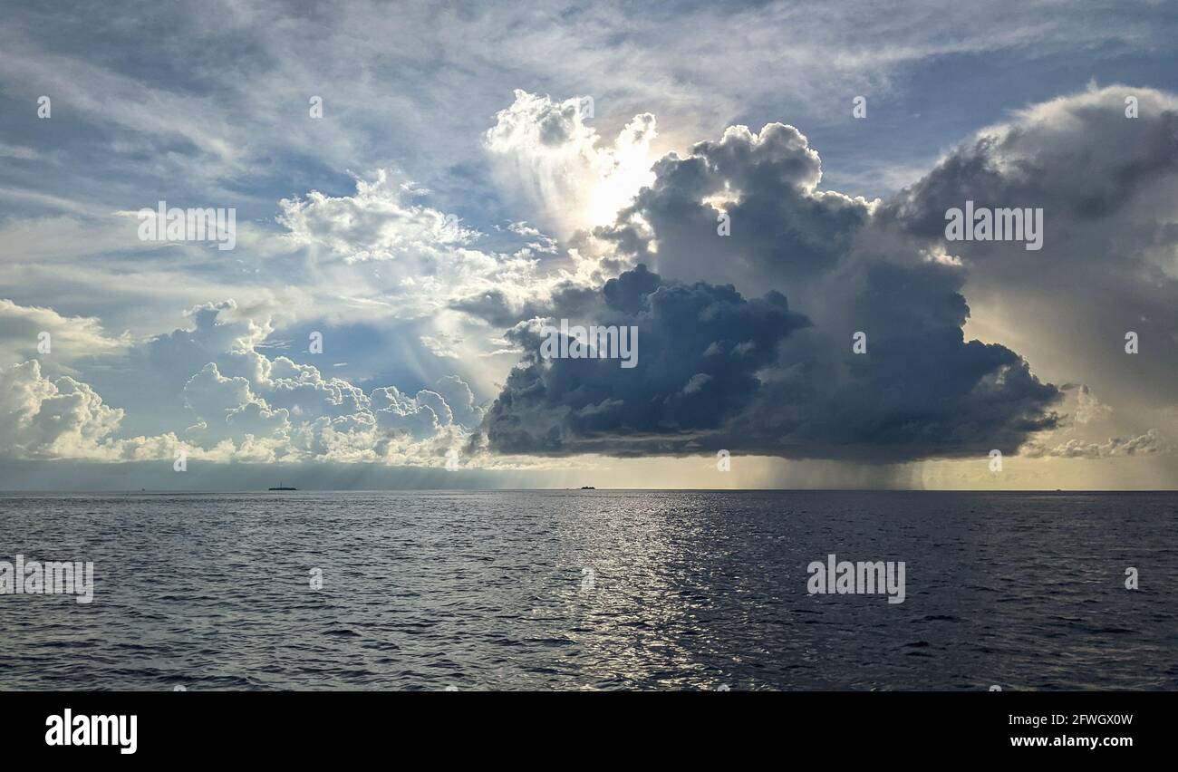 Malediven Schnellboot Transport, Walhai und Manta schnorcheln und fangen, Atoll Sea Life Stockfoto