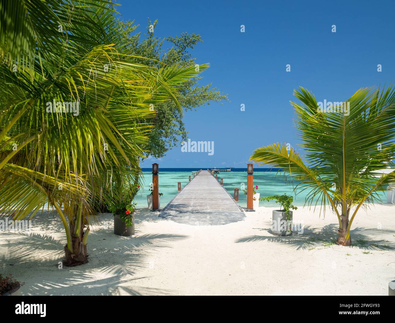 Malediven tropische Inseln Panorama-Szene, idyllische Strand Palmenvegetation und klares Wasser Indisches Meer, Ferienort Urlaub Stockfoto
