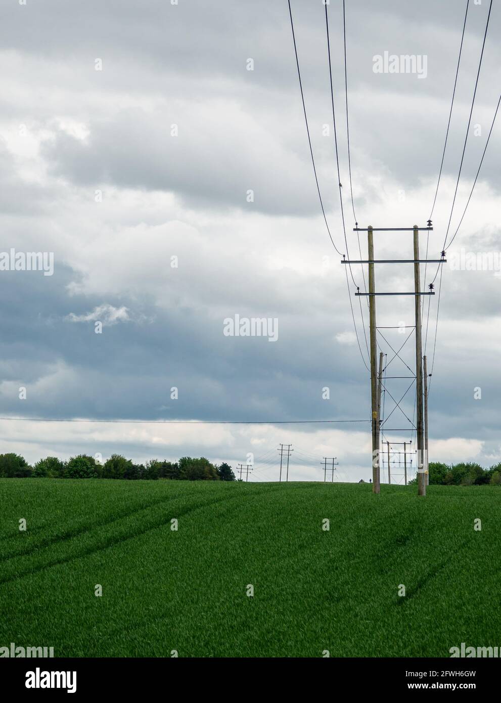 Blick entlang einer Reihe von hölzernen Strommasten quer Grüne landwirtschaftliche Felder Stockfoto