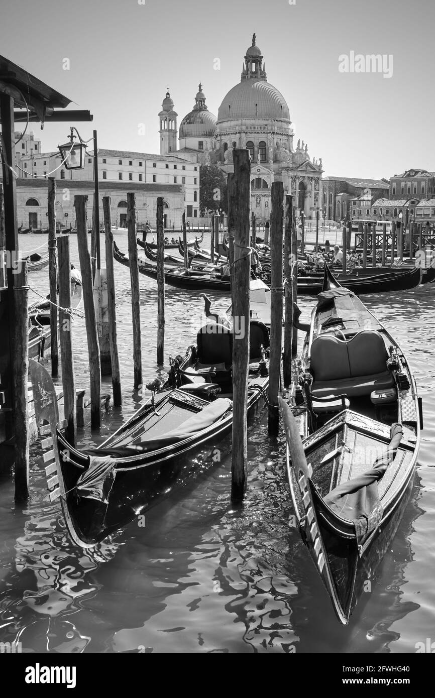 Gondeln auf dem Canal Grande in Venedig, Italien. Blick auf die venezianische Natur in Schwarz und Weiß Stockfoto
