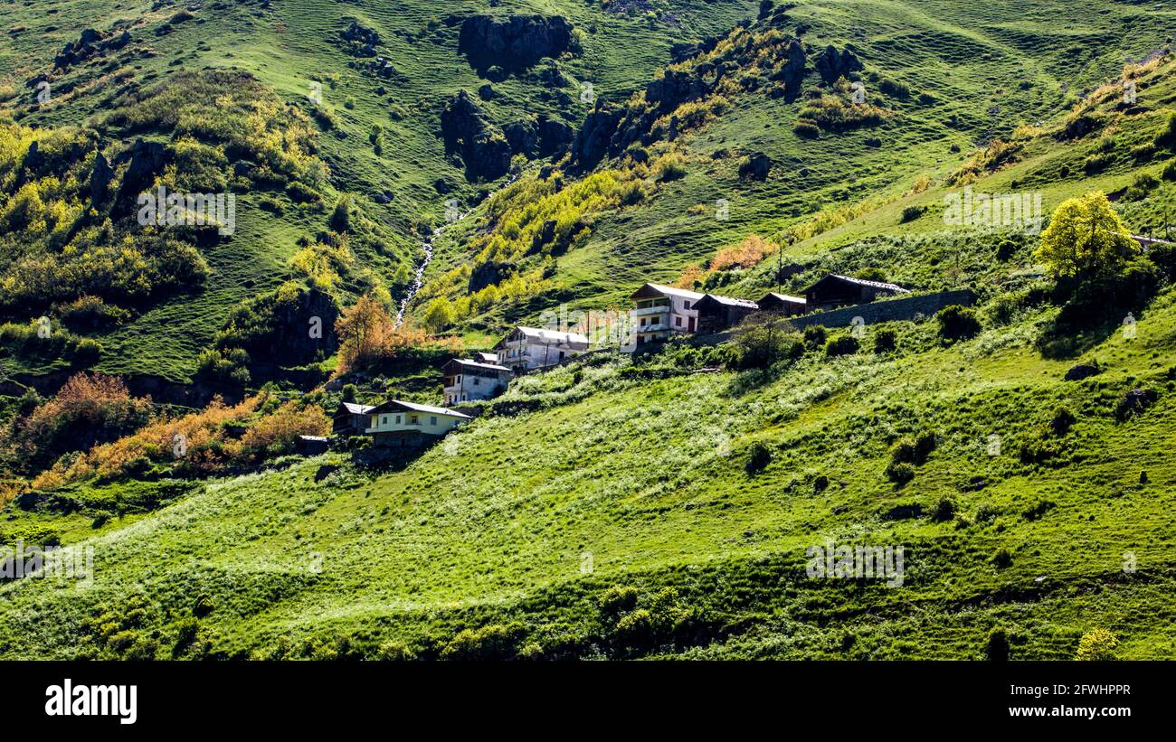 Ein Bild von Häusern auf Bergen, wo die Natur aus dem Bosse sprudelt. Türkei, Schwarzmeerregion. Stockfoto