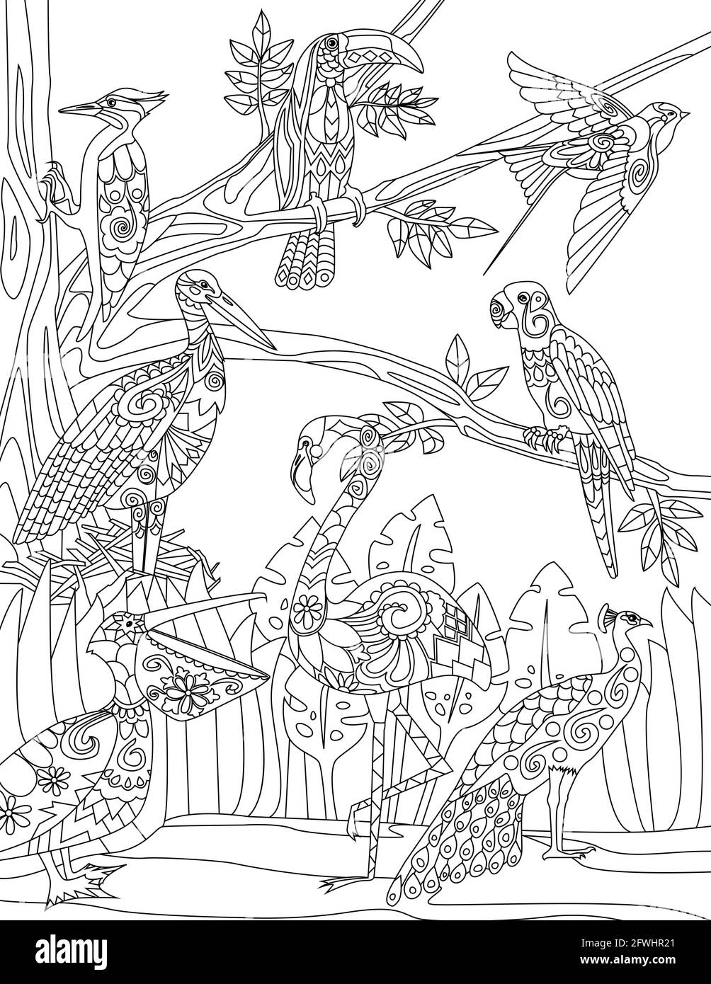 Tropische Vögel kritzeln auf Bäumen, Handzeichnung Pelican Flamingo auf Baum Illustration, Wildlife line Design, Umriss Wald Design, Pfau Skizze. Stock Vektor