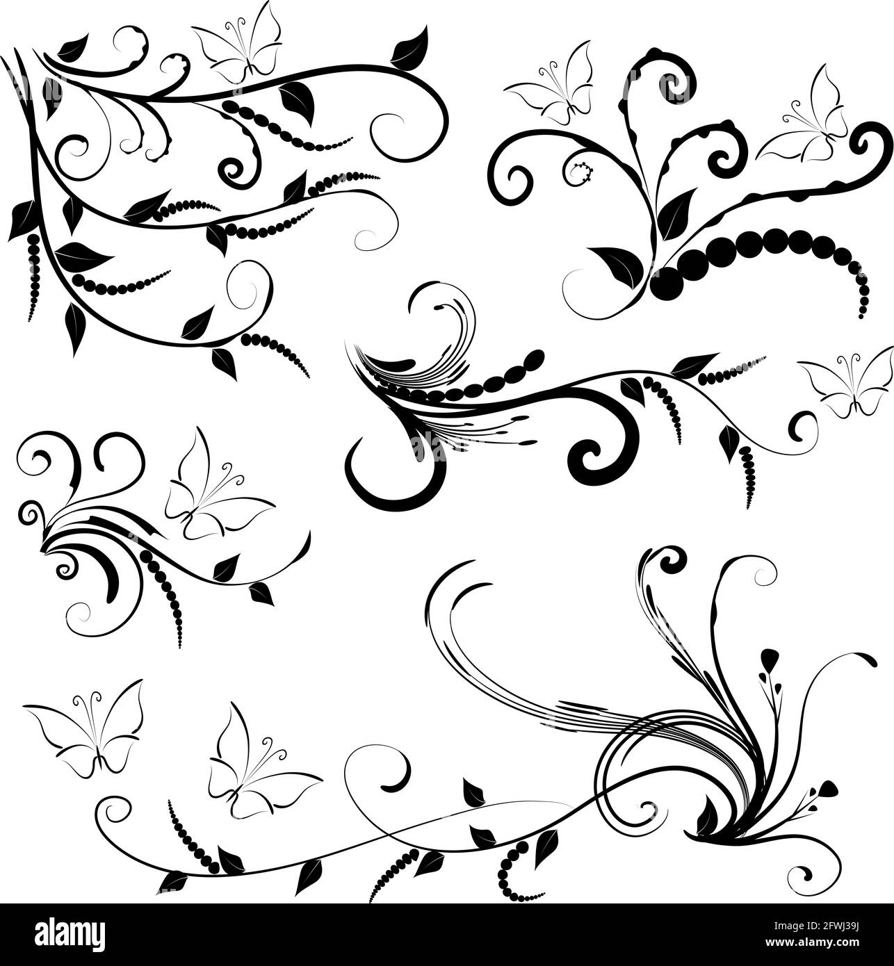 Kalligrafische Dekorationselemente mit Linien und Blatt und Blumen Schmetterling Stockfoto