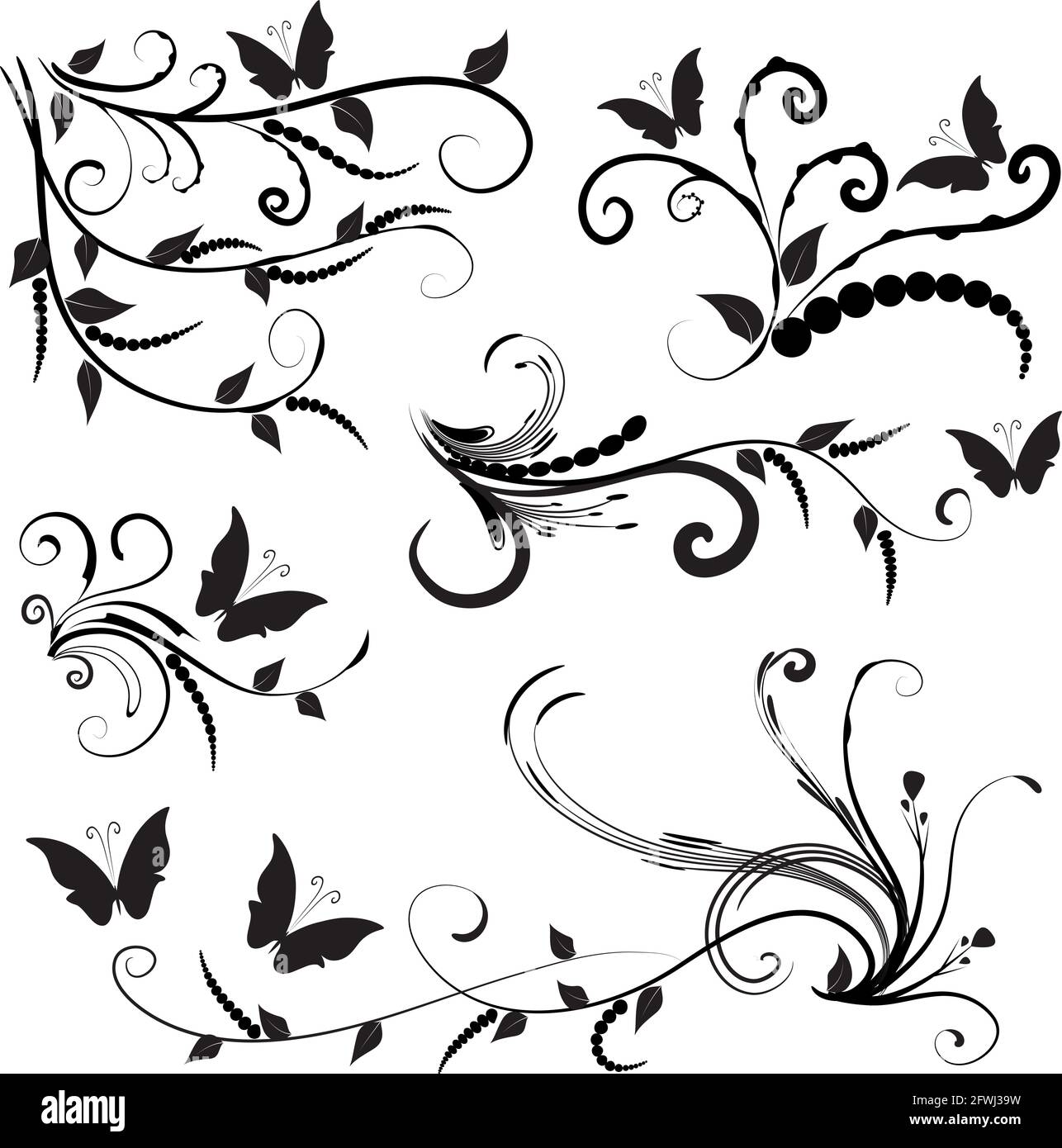 Kalligrafische Dekorationselemente mit Linien und Blatt und Blumen Schmetterling Stockfoto