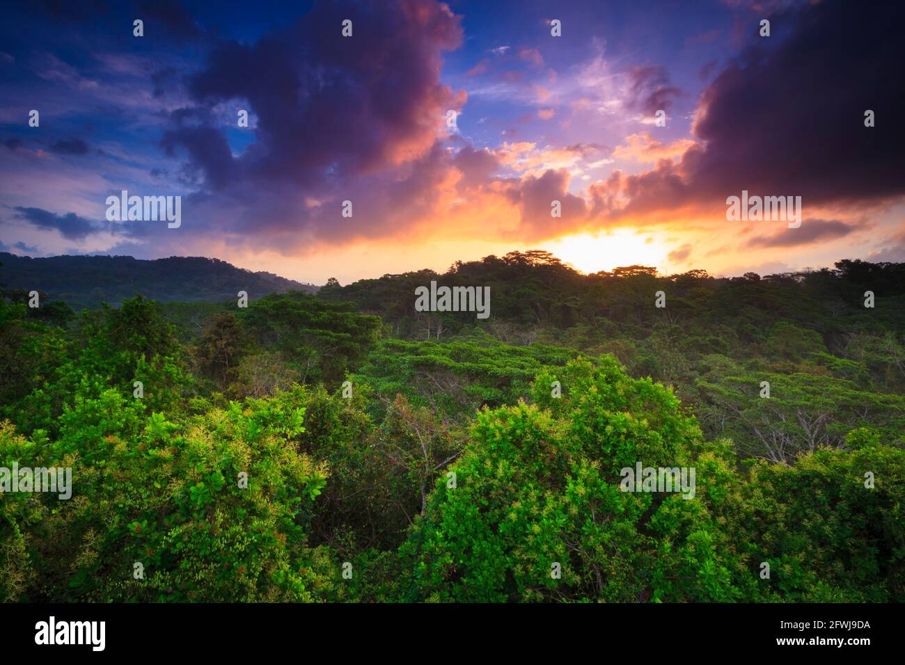 Panama-Landschaft bei Sonnenaufgang im üppigen Regenwald des Soberania-Nationalparks, Provinz Colon, Republik Panama, Mittelamerika. Stockfoto