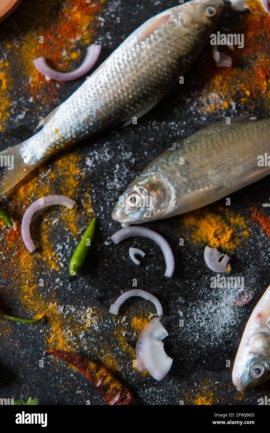 Hintergrund für rohe Lebensmittelzutaten. Nahaufnahme, selektiver Fokus. Stockfoto