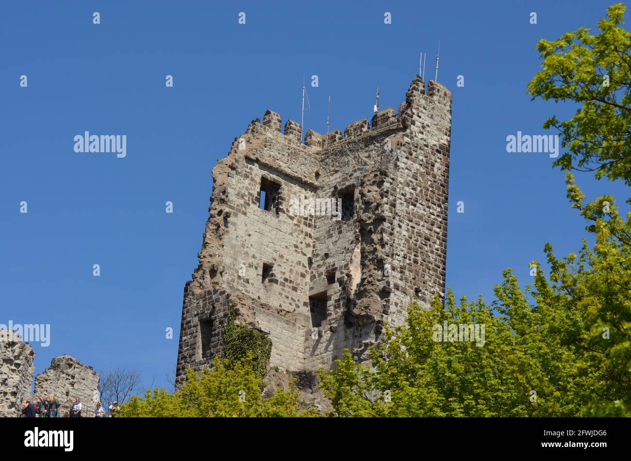 Drachenfelds Königswinter Stockfoto