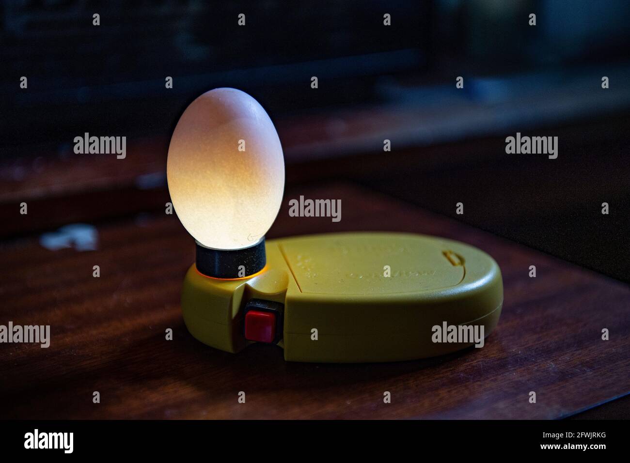 Das Ei wird für die Fruchtbarkeit in Kerzen gekerzt Stockfoto