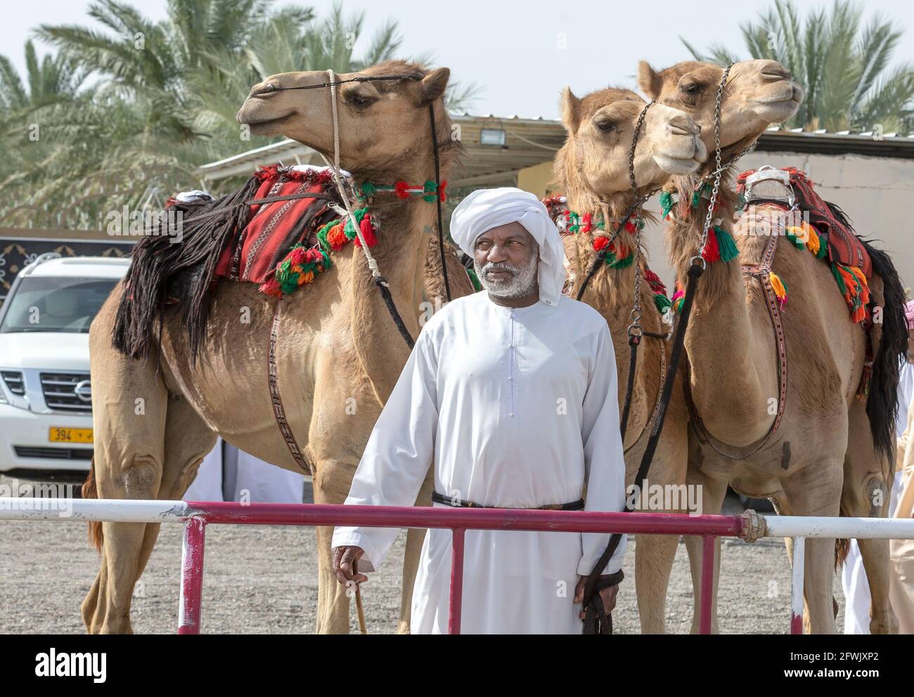 Khadal, Oman, 28. April 2018: omanische Männer in traditioneller Kleidung, mit seinen Kamelen Stockfoto