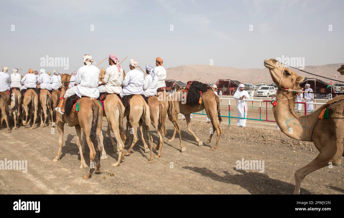 Khadal, Oman, 28. April 2018: omanische Männer in traditioneller Kleidung, auf Kamelen reiten Stockfoto