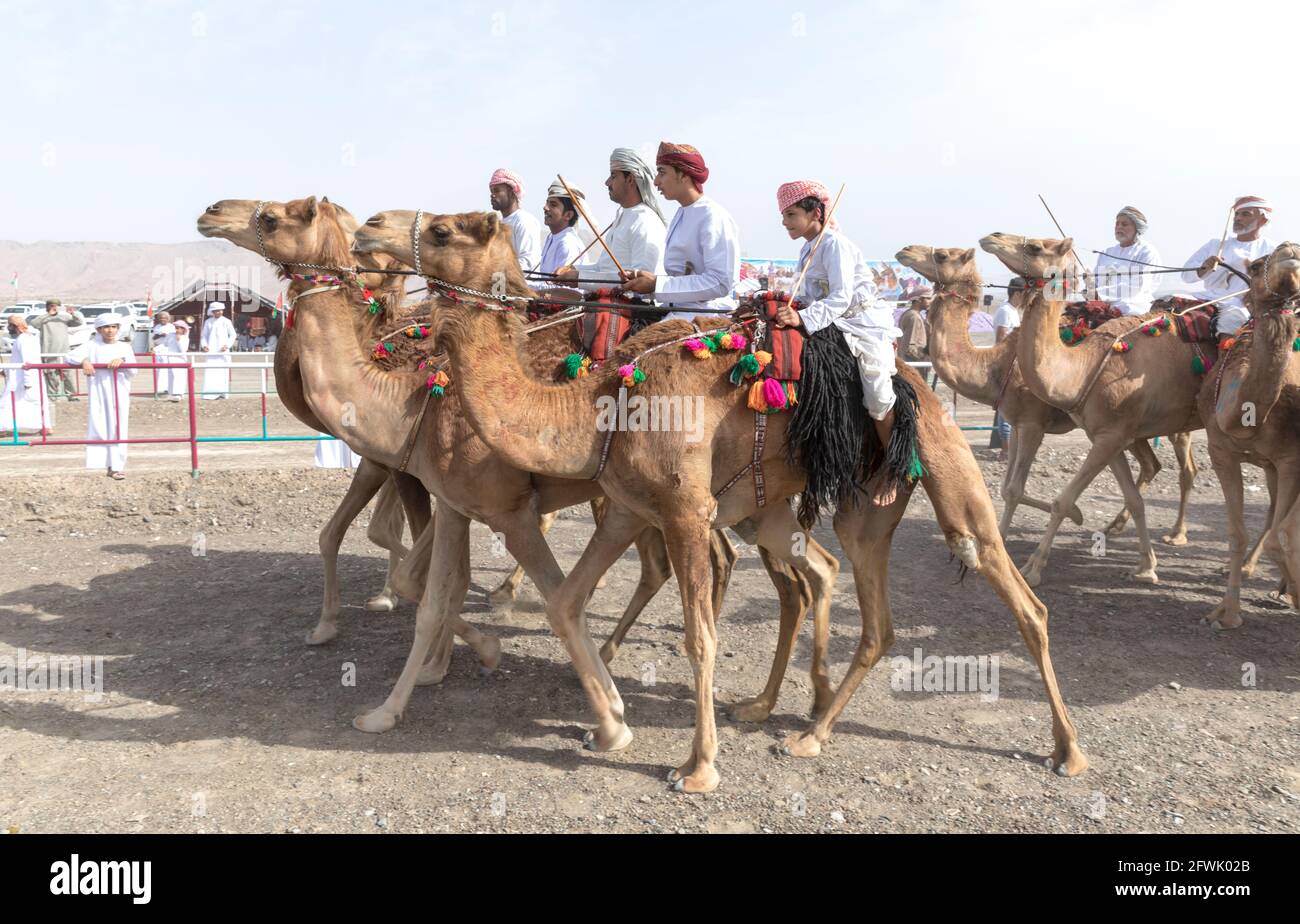 Khadal, Oman, 28. April 2018: omanische Männer in traditioneller Kleidung, auf Kamelen reiten Stockfoto