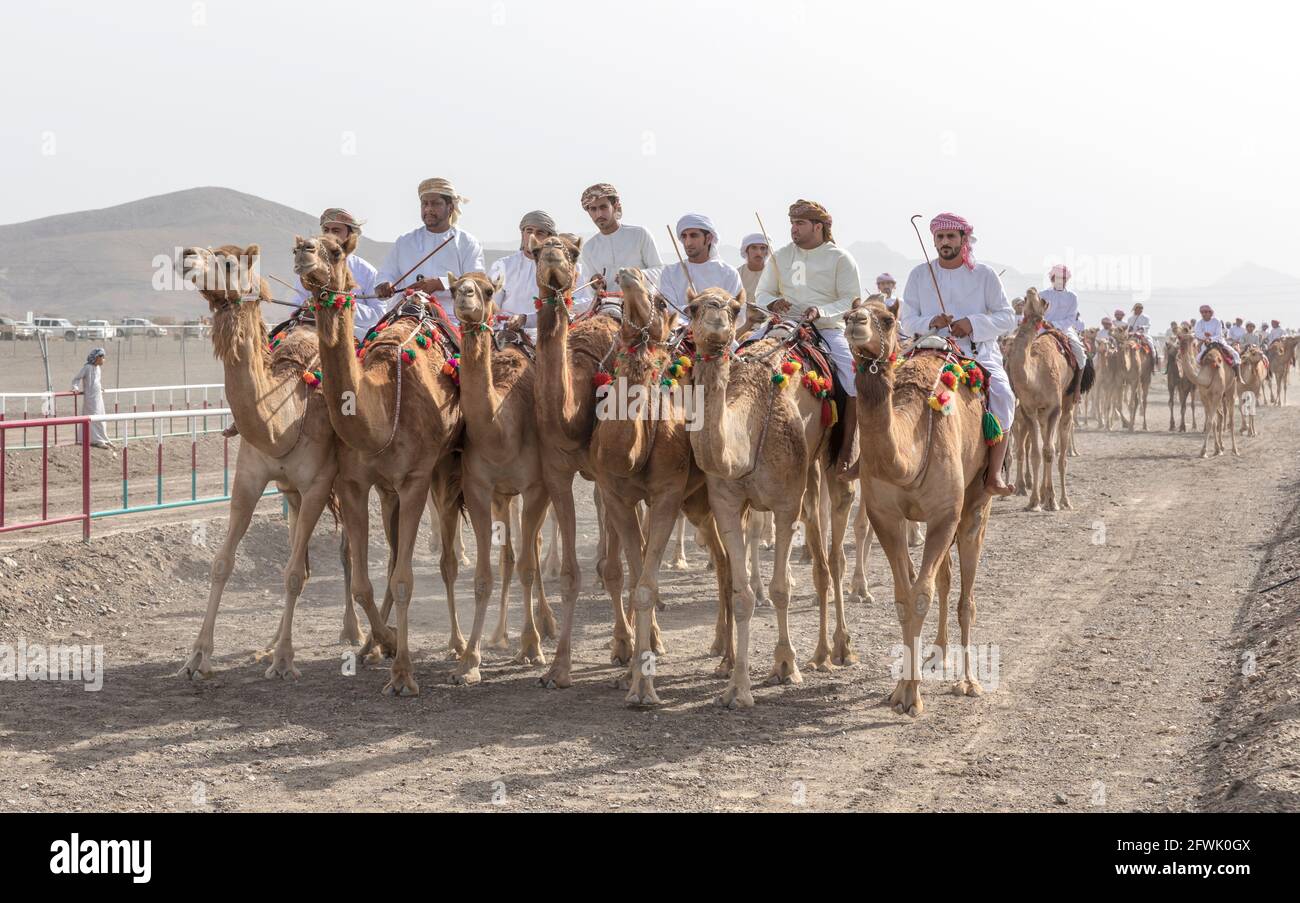 Khadal, Oman, 28. April 2018: omanische Männer in traditioneller Kleidung, auf Kamelen reiten Stockfoto