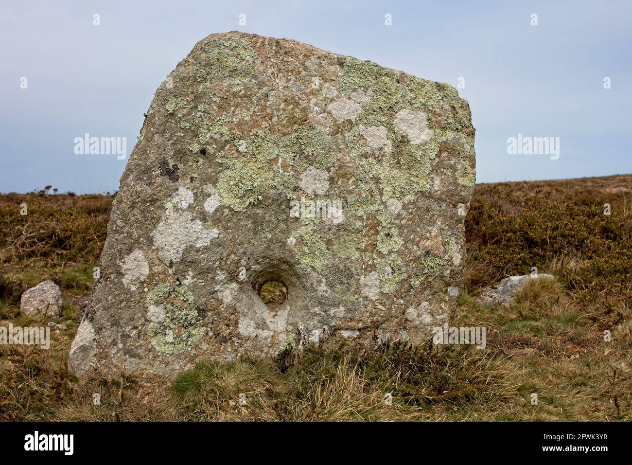 Ein alter Lochstein von unbekanntem Zweck, einer von mehreren auf Botallack Common, West Cornwall, England, Großbritannien. Stockfoto