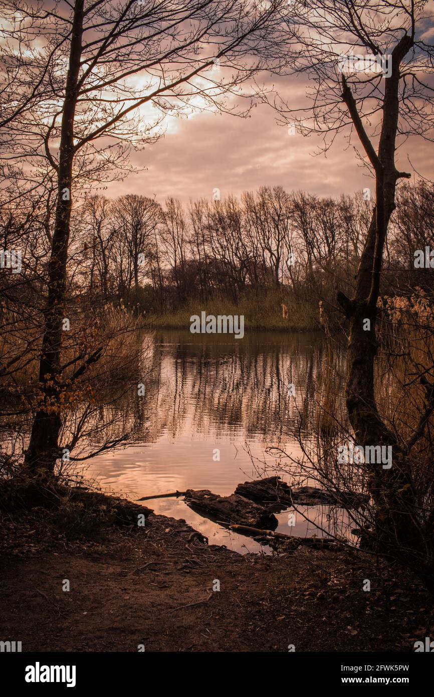 Ein wunderschöner Spaziergang am See, als die Sonne aufging Woodhall Lake in der Nähe von Calverley in Yorkshire Stockfoto