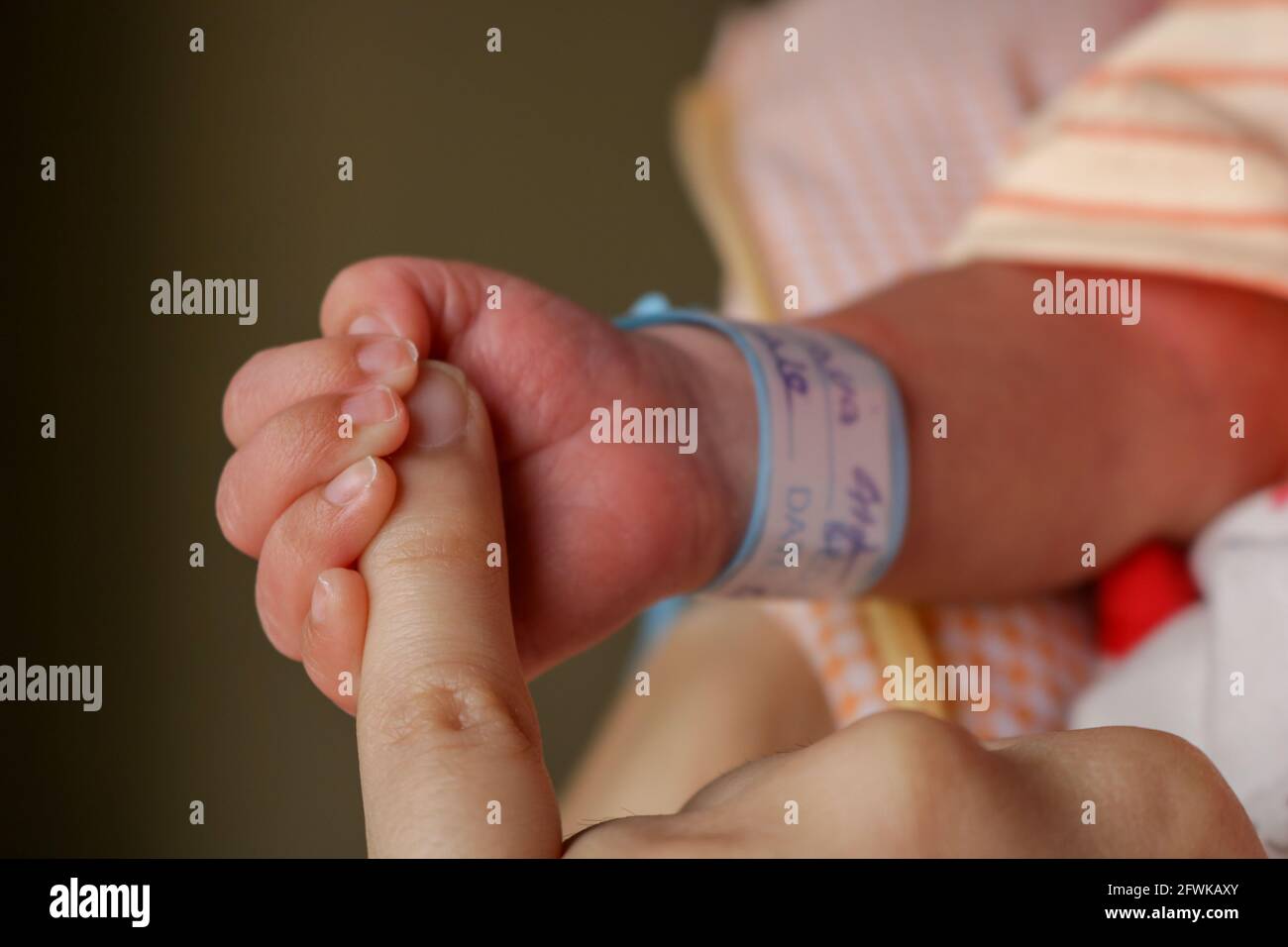 Neugeborenes Kind mit dem Finger seiner Mutter, Junge mit dem Finger seiner Mutter Stockfoto