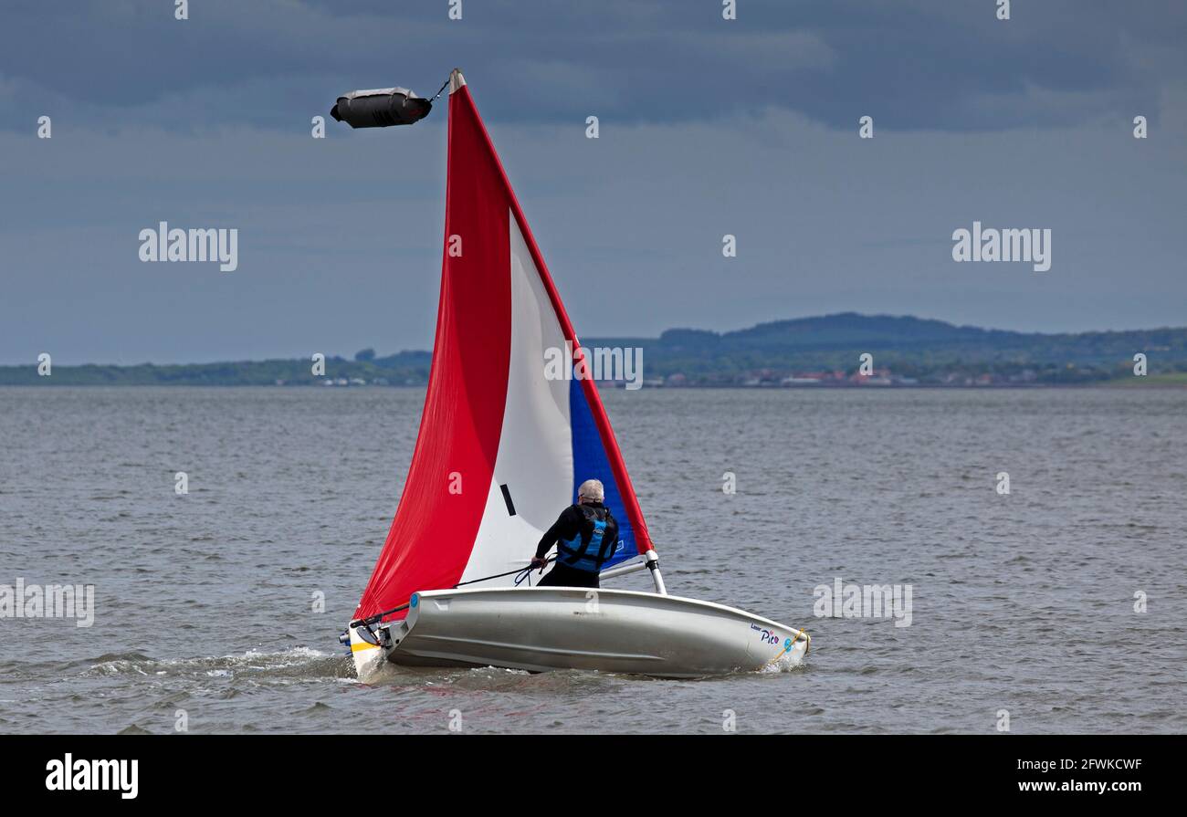 Portobello, Edinburgh, Schottland, UK Wetter. Mai 2021. Bewölkt und 12 Grad mit einer Brise am Ufer, aber genug, um diesem einjährigen männlichen Wind in seinen Segeln zu geben, um sein Segelboot auf dem Firth of Forth zu manövrieren. Quelle: Arch White/Alamy Live News. Stockfoto