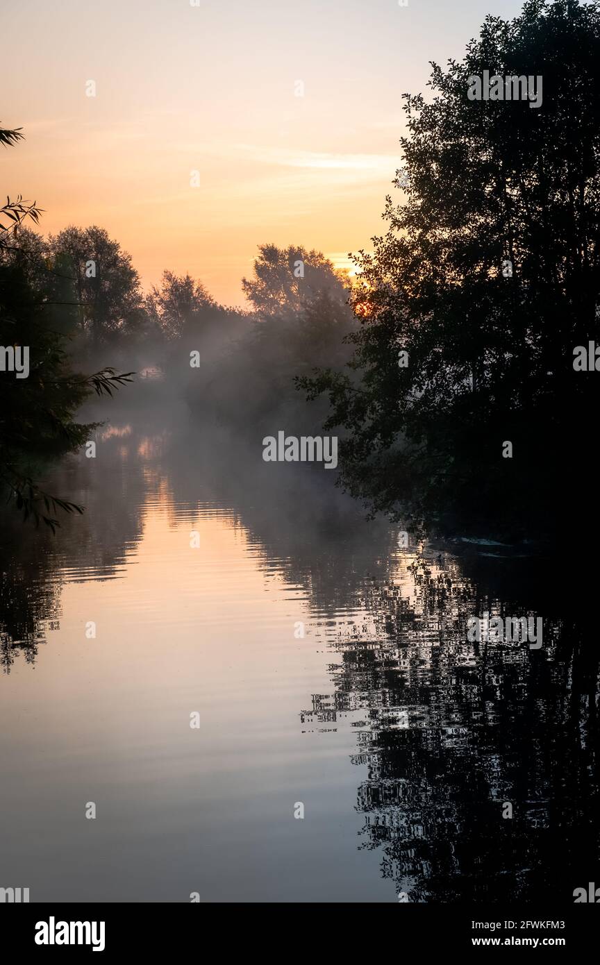 Frühmorgendlicher Sommeraufgang mit Nebel und Bäumen in der Nähe des Wassers, Fluss mit Reflexionen in ruhiger, schöner Flusslandschaft Stockfoto