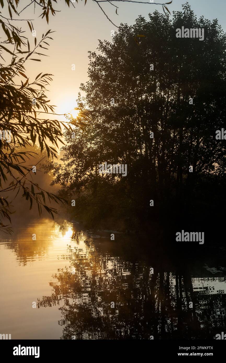 Frühmorgendlicher Sommersonnenaufgang mit Nebel und Bäumen in der Nähe des Wassers, Fluss mit Reflexionen in einem ruhigen, schönen Fluss Stockfoto