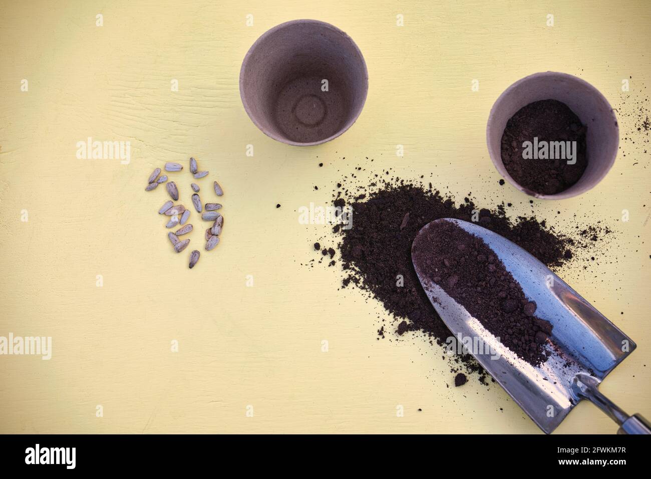 Sonnenblumenkerne, biologisch abbaubare Fasertorf-Töpfe, Kompost und Kelle auf gelbem Hintergrund. Konzept der eigenen wachsen, biologische Abbaubarkeit, aus Samen wachsen Stockfoto