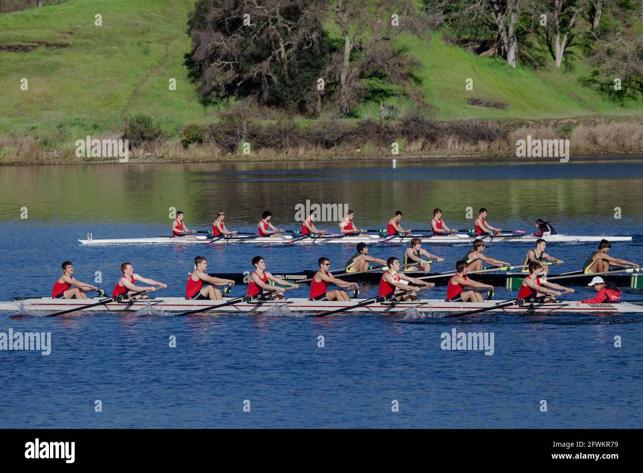 Die acht Ruderteams der jungen Männer im engen Rennen während der Regatta in Lake Natoma, Kalifornien Stockfoto