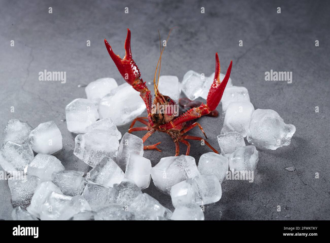 Eiskrabbeln Stockfoto