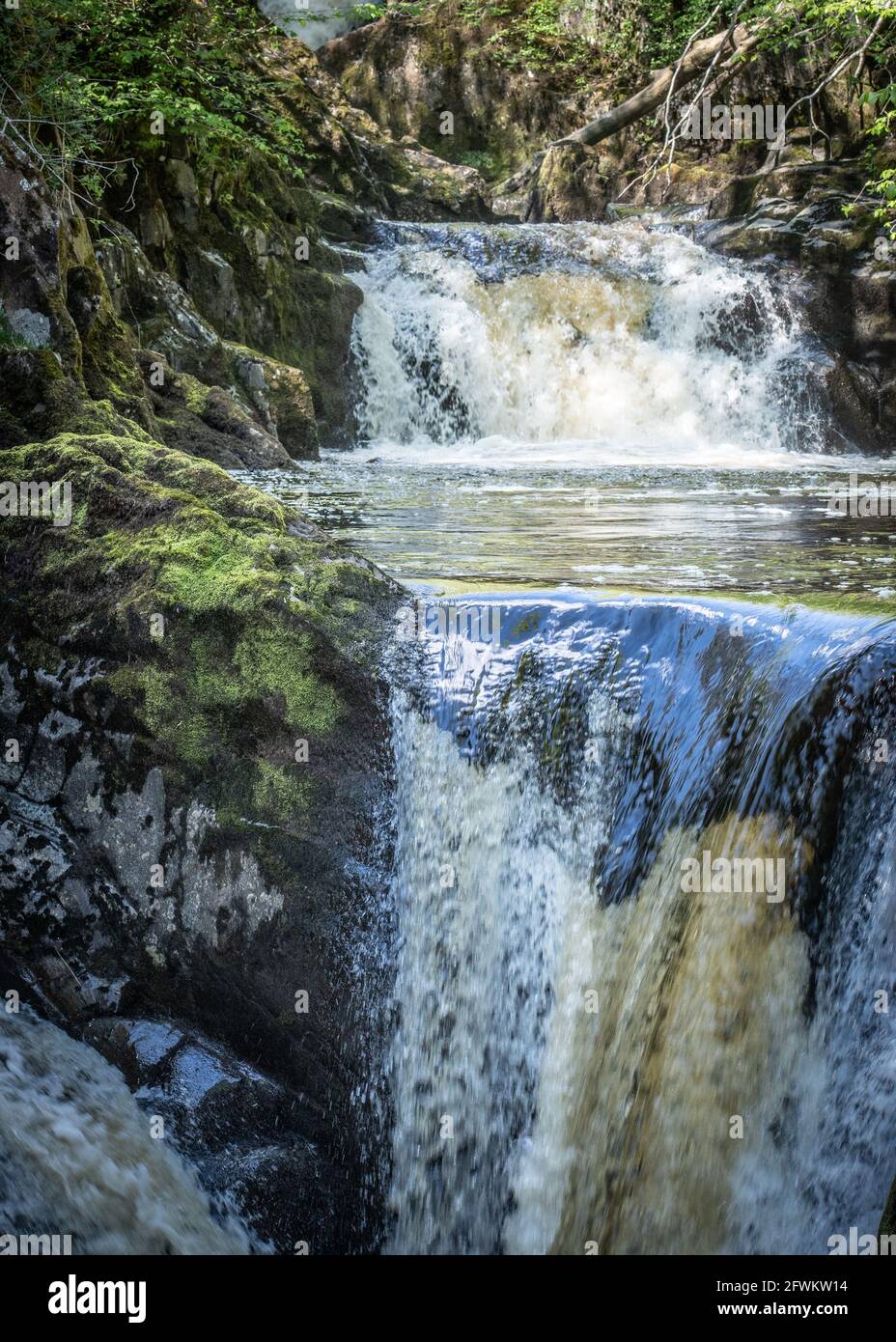 Ingleton Waterfalls Trail, Yorkshire Dales, England, Großbritannien Stockfoto