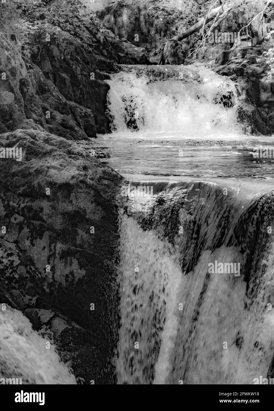 Ingleton Waterfalls Trail, Yorkshire Dales, England, Großbritannien Stockfoto