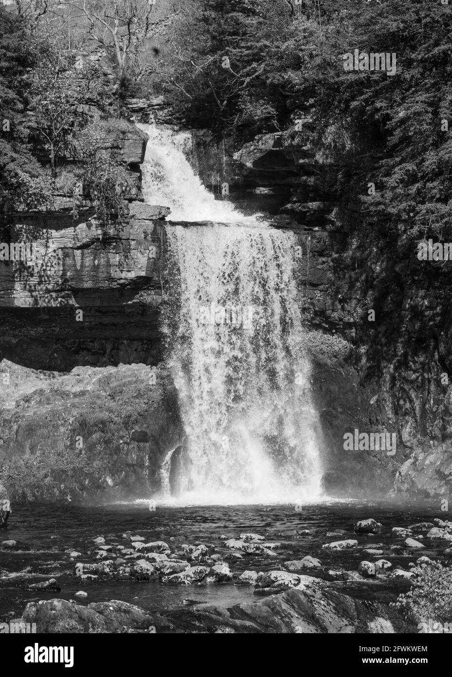 Ingleton Waterfalls Trail, Yorkshire Dales, England, Großbritannien Stockfoto