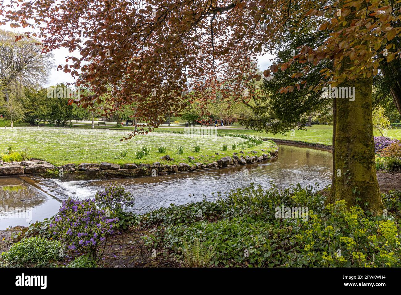 Buxton Pavilion und Pavilion Gardens in Derbyshire Stockfoto