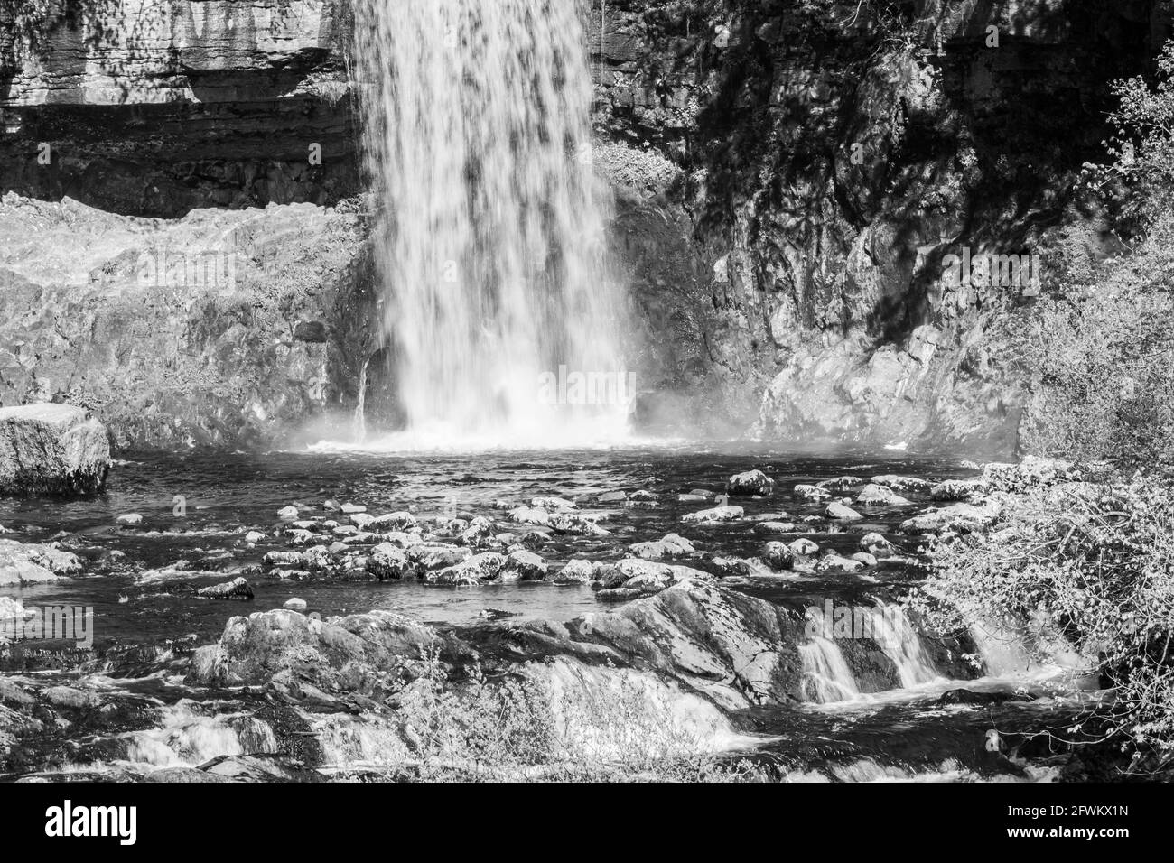 Ingleton Waterfalls Trail, Yorkshire Dales, England, Großbritannien Stockfoto