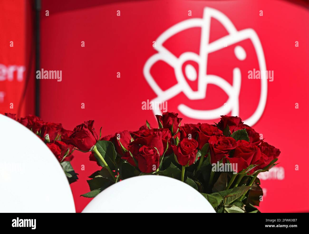 Rote Rosen vor dem Logo der Sozialdemokraten, im ersten Mai. Stockfoto