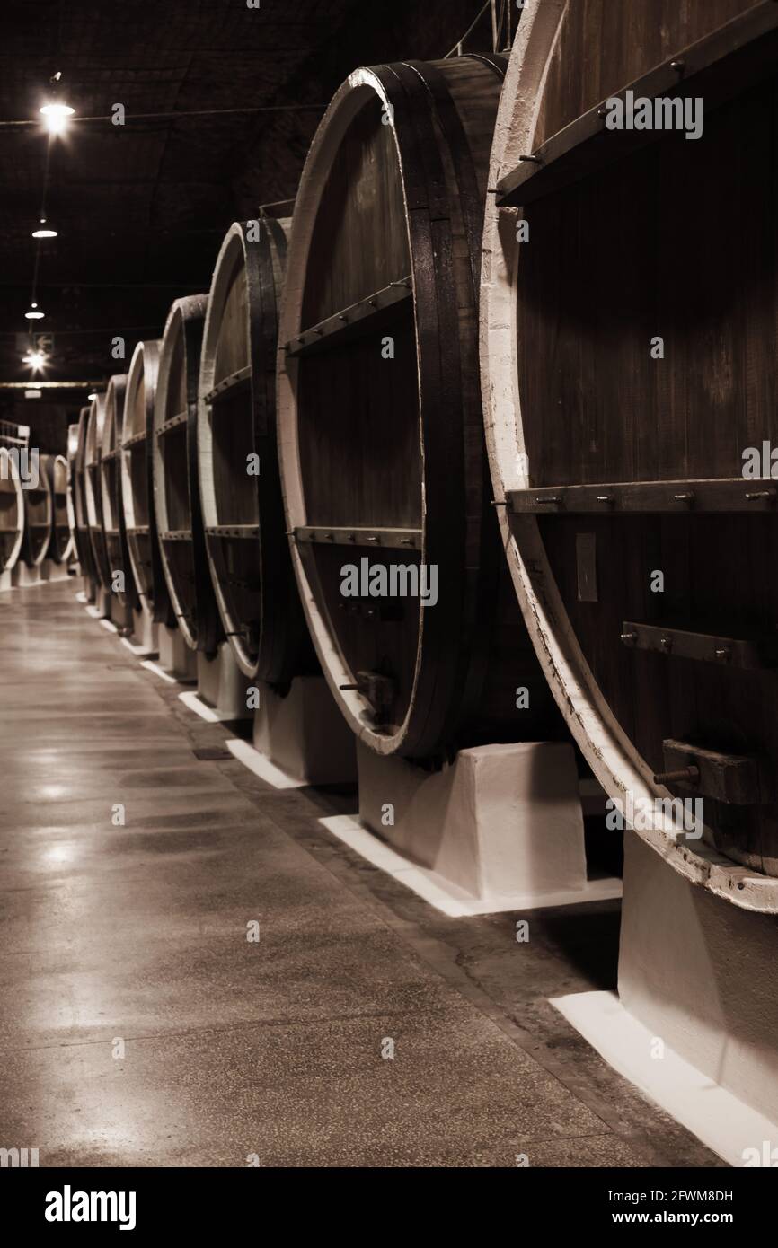 Dunkle Holzfässer in einem Keller eines Weinguts, vertikales Foto mit selektivem Fokus Stockfoto