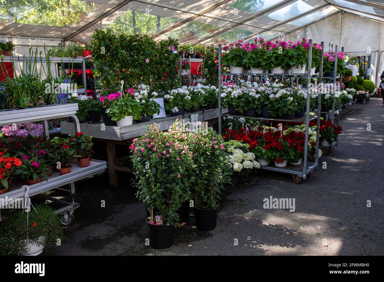 Gartencenter oder Pflanzenshop mit Garten- und Balkonblumen im Munkkivuori-Viertel von Helsinki, Finnland Stockfoto