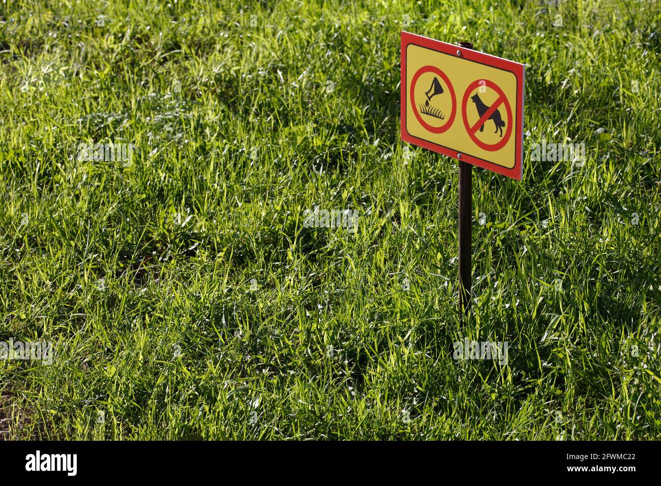 Gelbes Schild mit chemischer Anwendung keine Hunde oder Haustiere auf Grüner Rasenhintergrund – Nahaufnahme mit selektivem Fokus Stockfoto