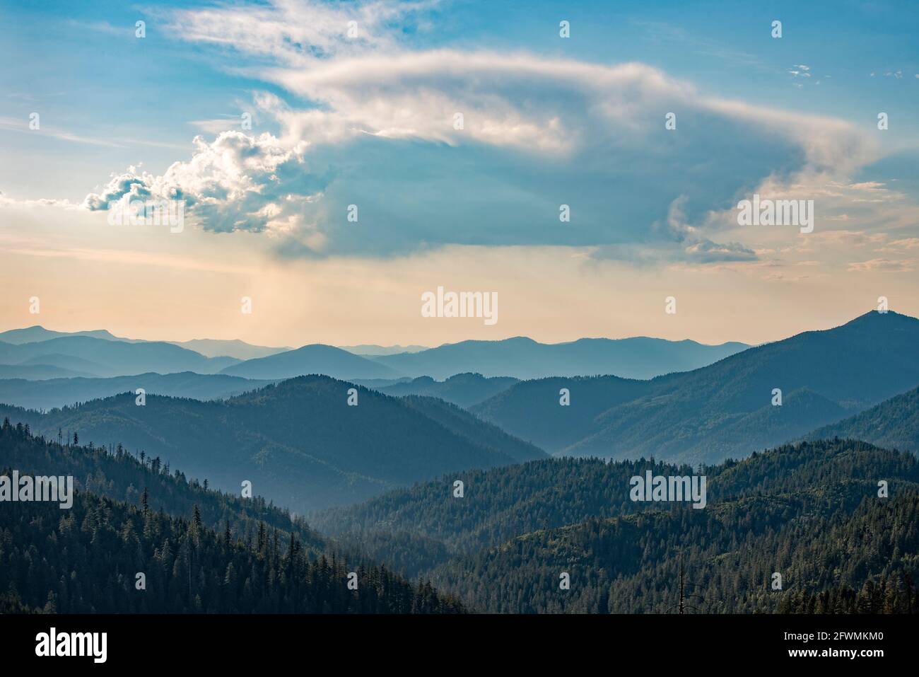 Blick auf die Siskiyou Mountains vom Cliff Nature Trail im Oregon Caves National Monument im Süden von Oregon. Stockfoto