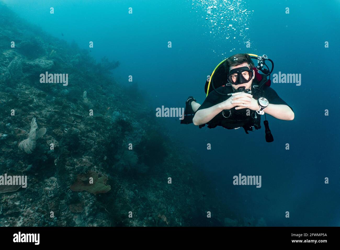 schwimmende und im Meer bei Raja Ampat erforschende tauch Stockfoto